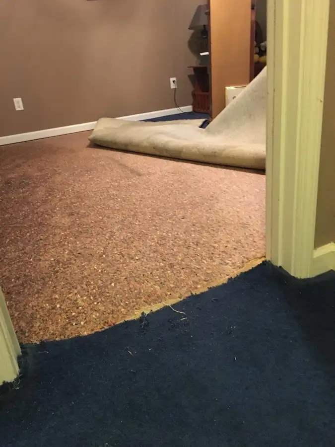 Carpet pad removal revealing water damage during Drying & Dehumidification in Keene