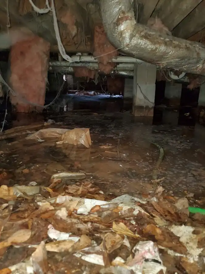 Crawl space flood assessment for Leak Detection & Repair in Keene