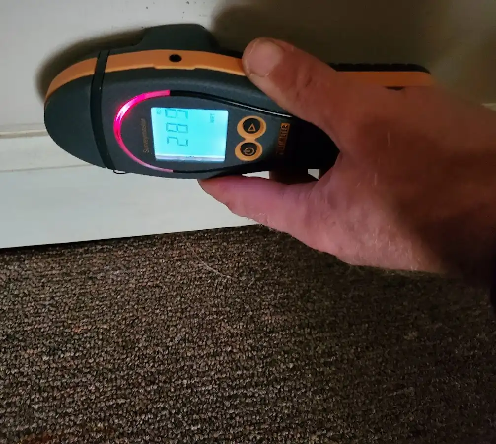 Moisture detection at baseboard during Mold Inspection & Testing in Keene